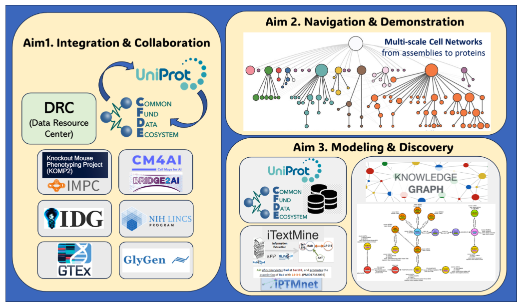 Protein Knowledge Network