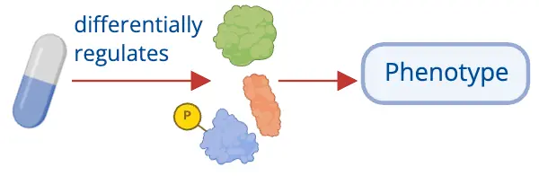 Phenotypes associated with altered phosphorylation events