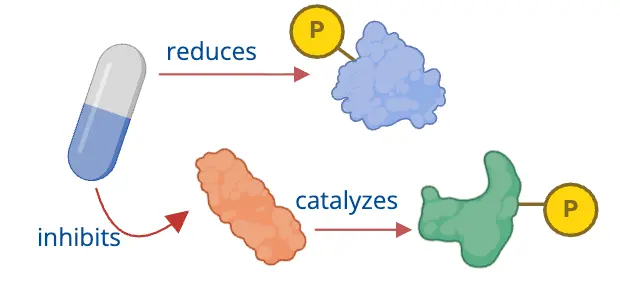 Phosphorylation sites of a perturbagen